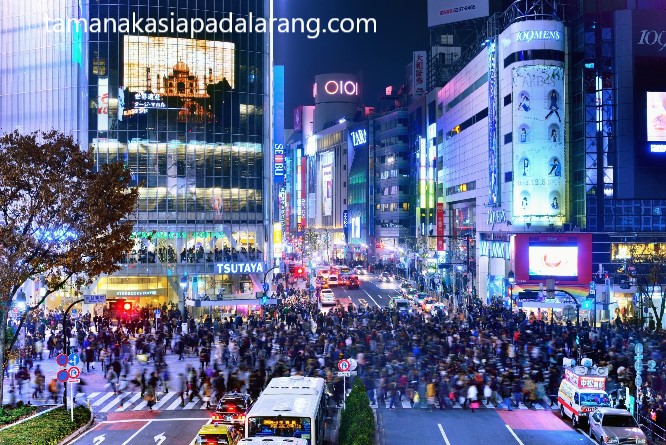 Kota Metropolitan Tokyo