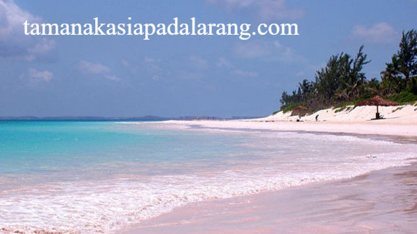 Pesona Pink Sands Beach di Bahama